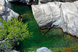 Emerald pool of the Fango river.