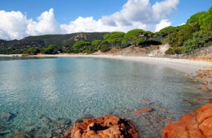 Crystal clear waters of the Palombaggia beach immersed in dense lush vegetation.