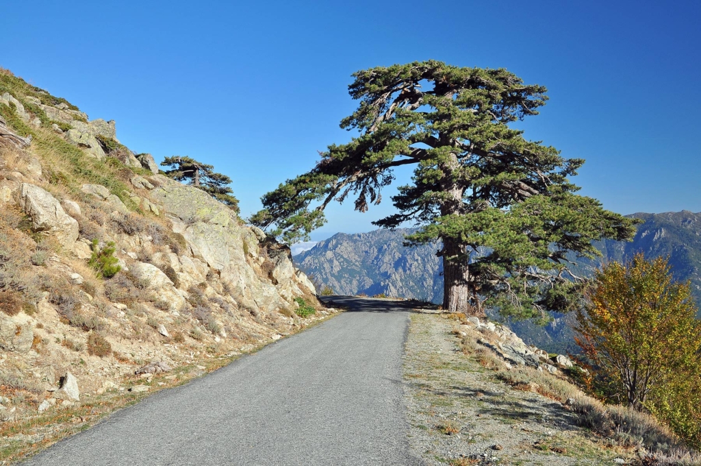 A narrow road with steep drops in the Ghisoni ski resort region in Corsica.