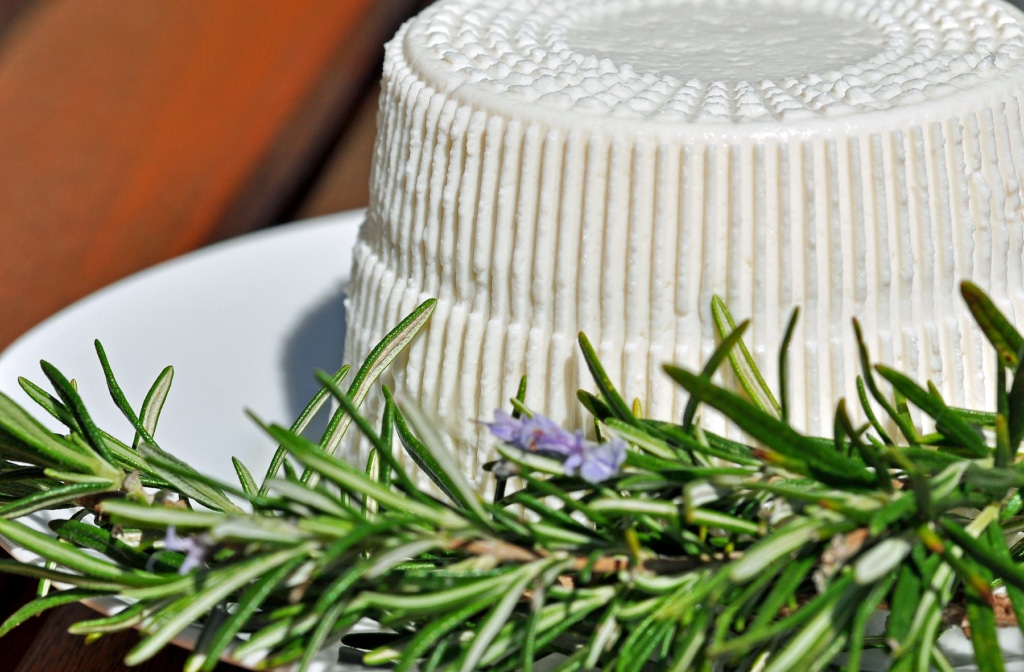 Moist and fresh Corsican brocciu cheese served outside on the garden table.