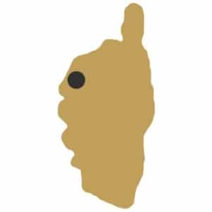 Map of Corsica with the location of Fango river indicated.