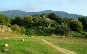 The remains of the ancient torri in Filitosa.