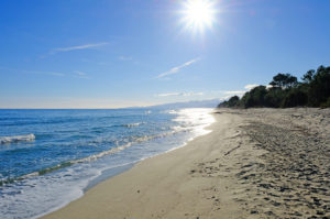 White sands of the Pinia Beach shaded by fragrant maritime pine trees.