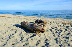 White sand and transparent water of the Pinia beach in Corsica.
