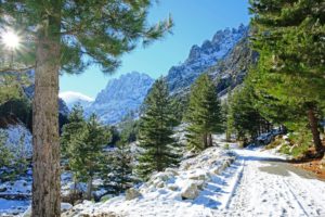 Enchanted winter landscapes of the Restonica Valley nestled at the foot of the Massif of Rotondo.
