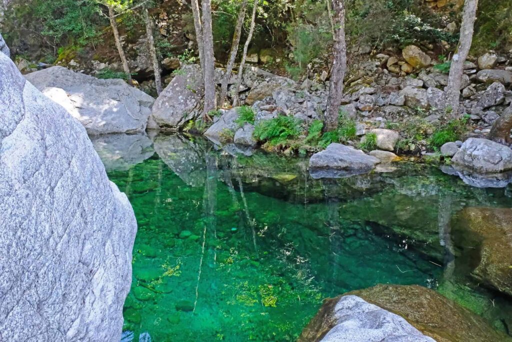 The crystal-clear sapphire pools of Restonica lure numerous visitors seeking relief from the summer heat.