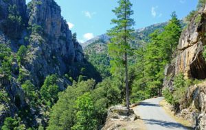 In parts the Restonica road is single track with bays for passing, endless hairpin blind bends and plunging drops offering breathtaking views.