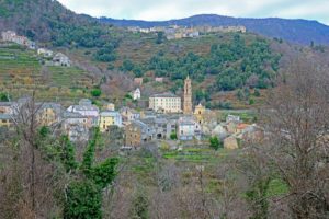 With the backdrop of Monte San Petrone, La Porta is nestled in the midst of exuberant chestnut grove.