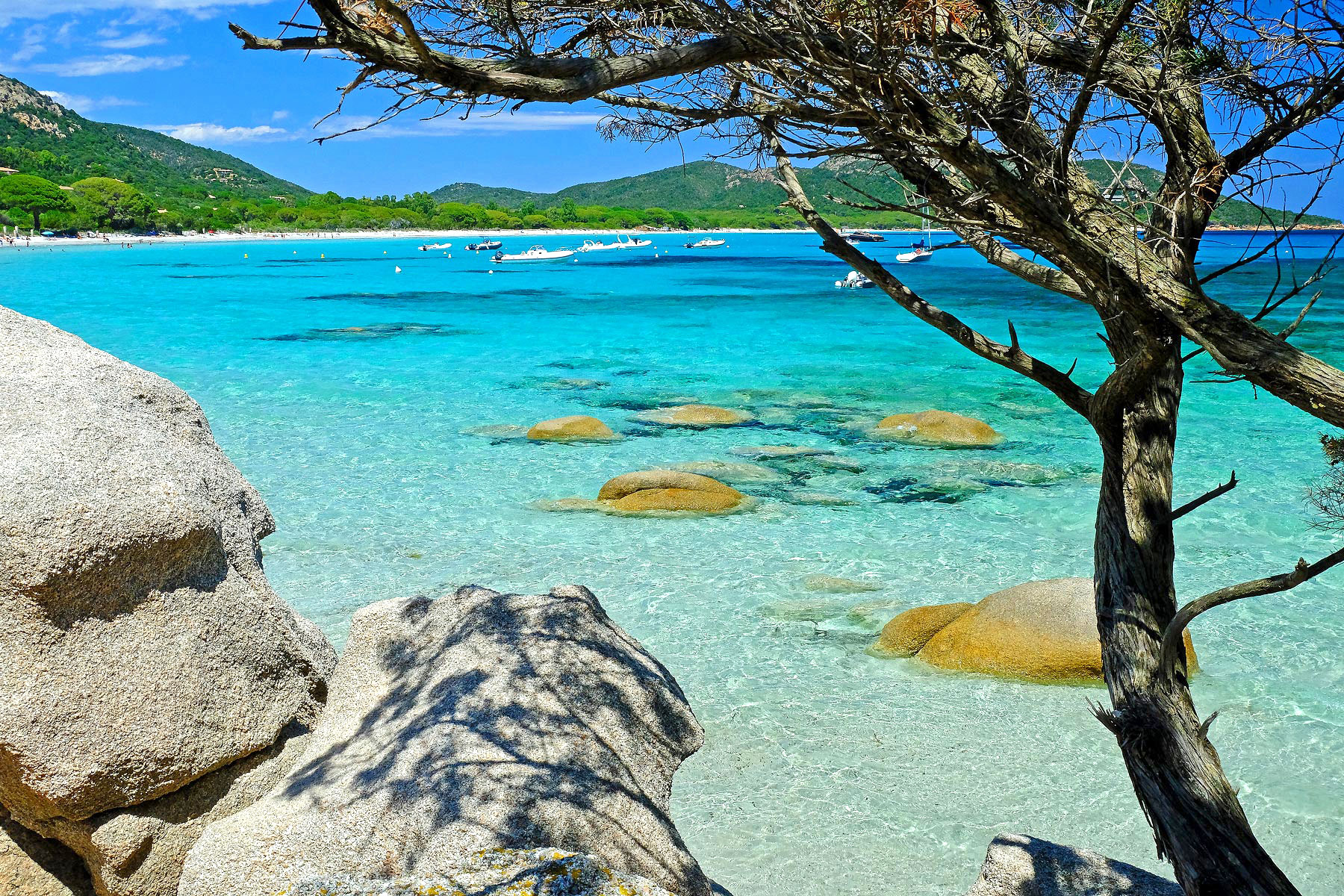 Top 10 Corsica Beaches Designdaryan Hot Sex Picture