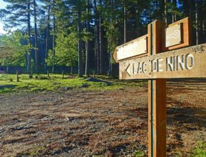 The trail leading to Lac de Ninopasses through fragrant forests of Valdo-Niolo.