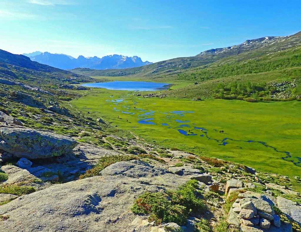 With the backdrop of snow-capped summits the serene green oasis of Nino is reminiscent of the Tibetan plateau.