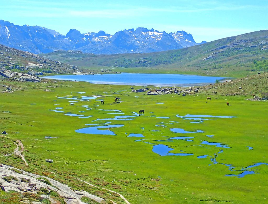 The exquisite high-altitude Nino Lake is one of Corsica's most beautiful hiking destinations.