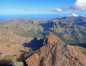 The wild, pine-covered Asco Valley located at the foot of Monte Cinto abounds in a multitude of endemic plant and animal species.