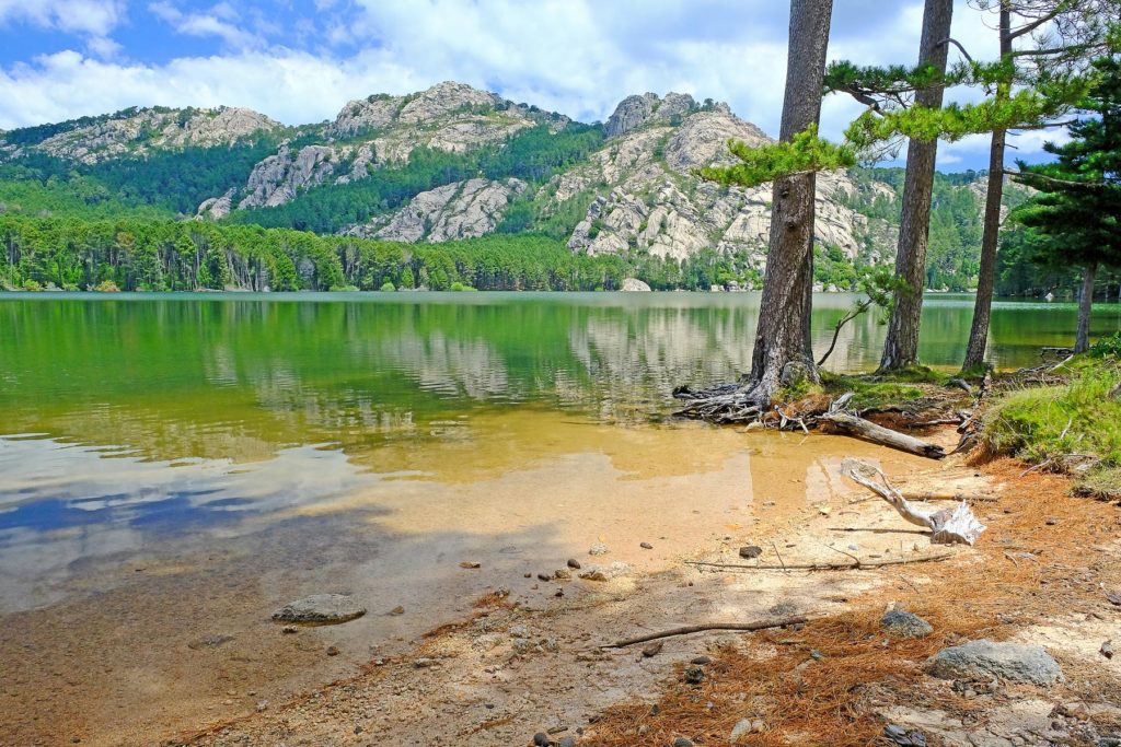 Serene banks of Lac de l'Ospedale provide a perfect backdrop to a relaxing picnic.