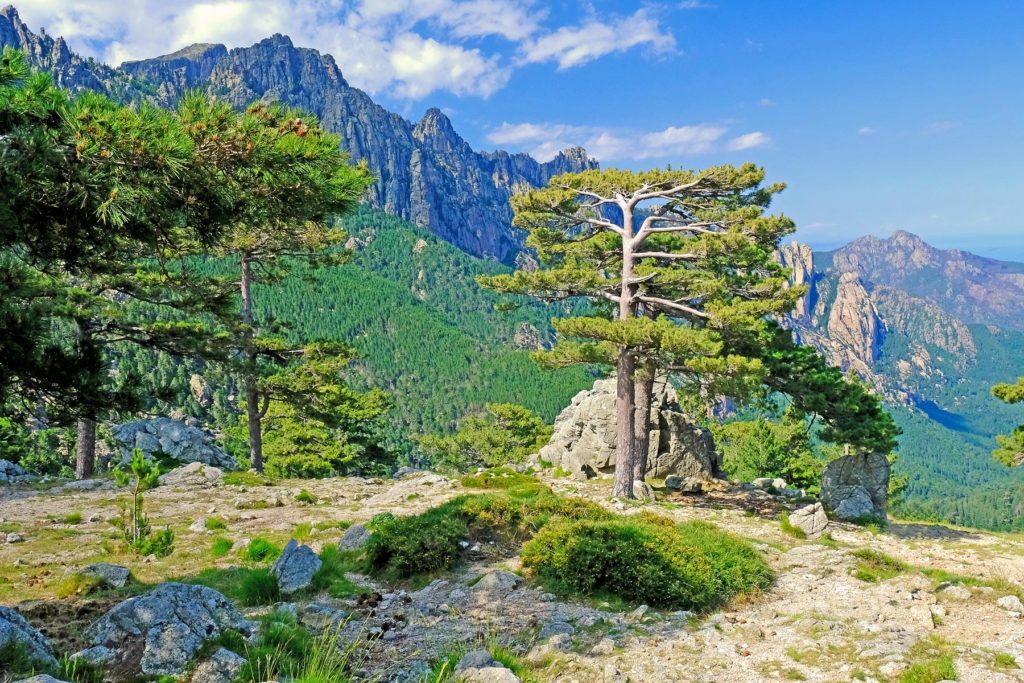 The scenic drive to rocky needles of Bavella is one of Corsica's most popular attractions.