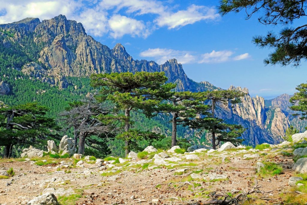 Aiguilles de Bavella, tall granite pinnacles rise above the Alta Rocca region in central Corsica.