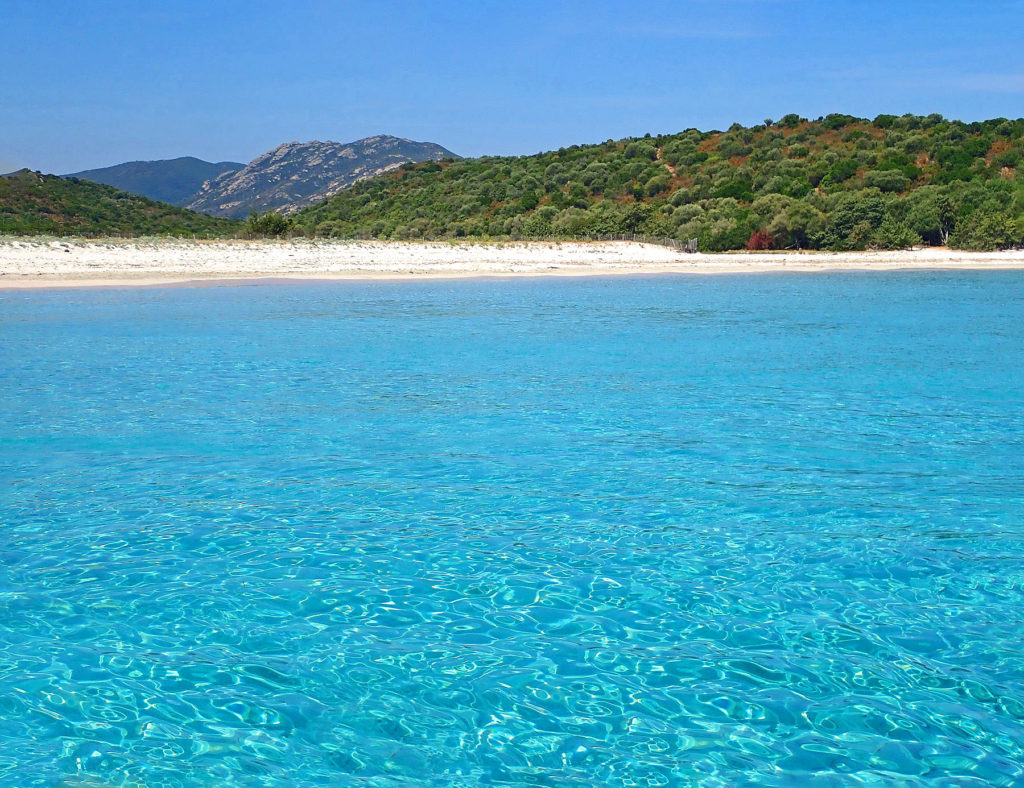 Considered one of the most beautiful beaches in Corsica, Plage du Lotu is famous for its translucent water and white sand.