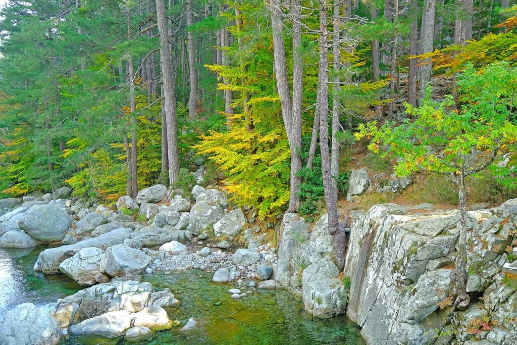 Corsica’s rivers are especially captivating in autumn, a season full of charm and colour.