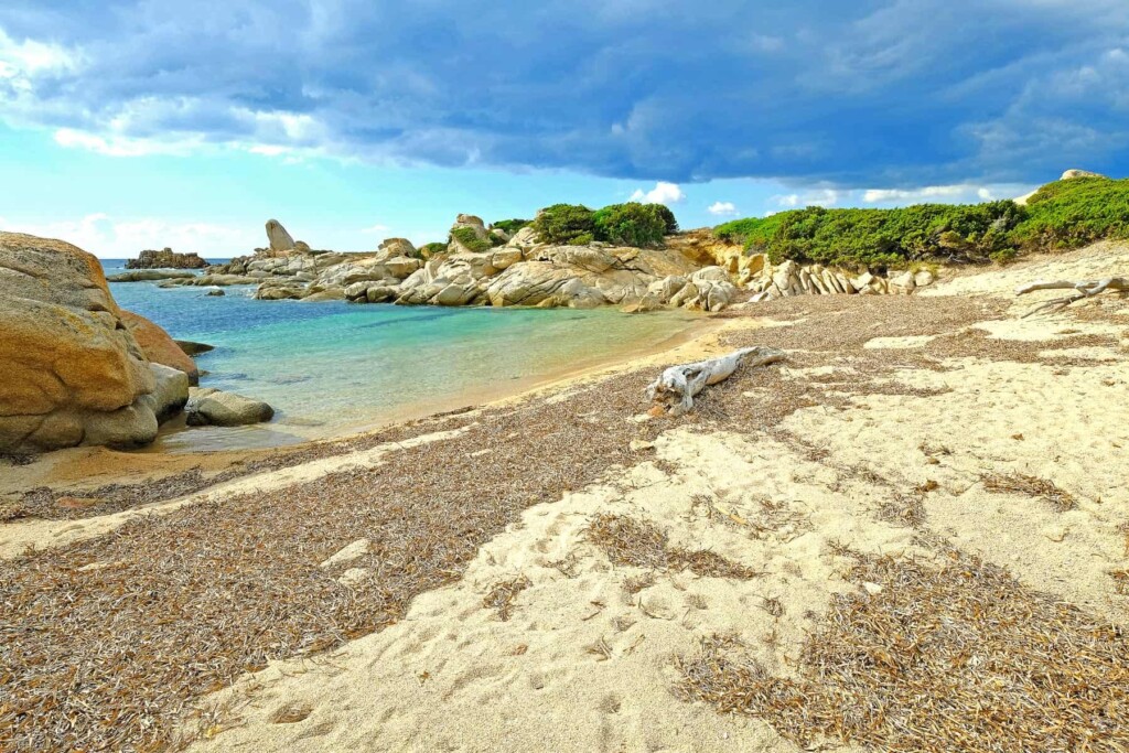 The coast near Pianottoli-Caldarello is dotted with delightful sandy coves ideal for exploring the underwater world.