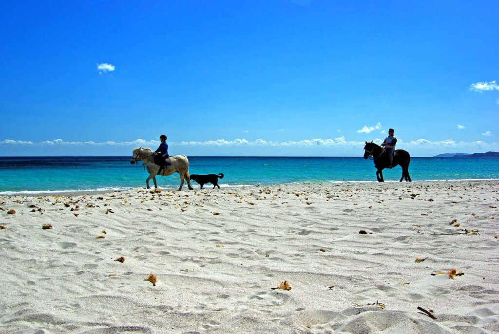 An hour of horse-riding along the shores of the beach of Palombaggia will cost you around €50.