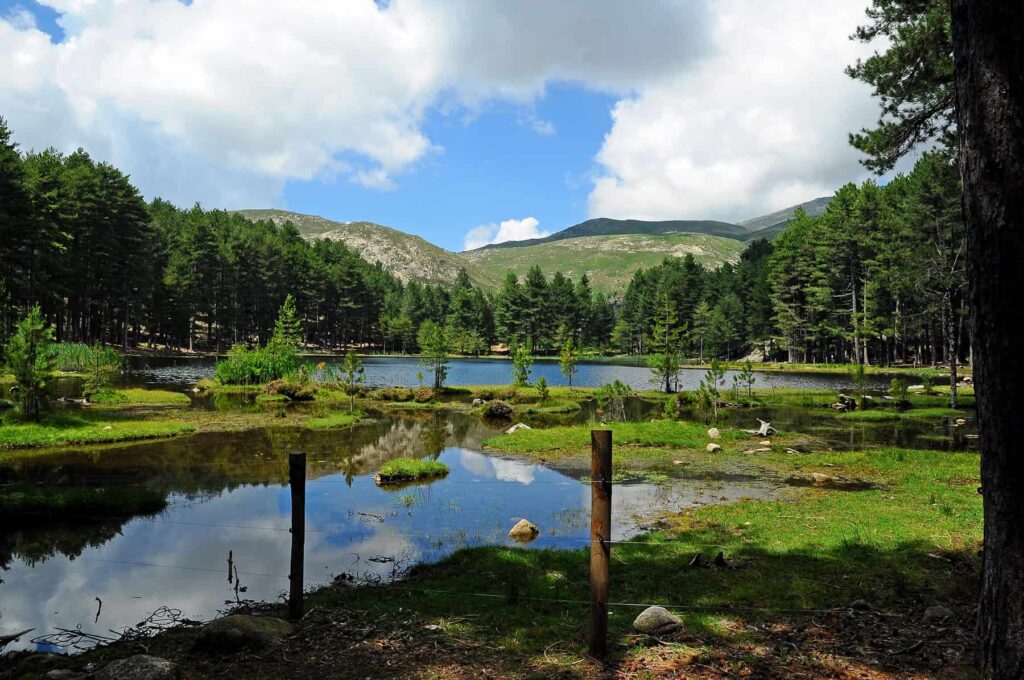 Hike to Lac de Creno, a serene high-altitude lake perfect for a family picnic.
