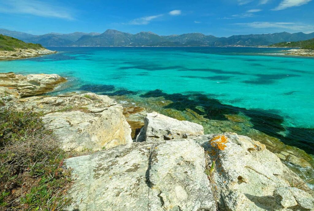 Corsica's clear seawater allows for easy visibility of jellyfish and other marine life from the shore.