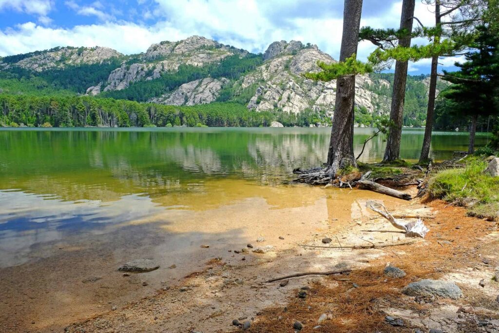 You can join a guided 4x4 tour to visit Corsica's wild mountains, verdant river valleys and pristine lakes.