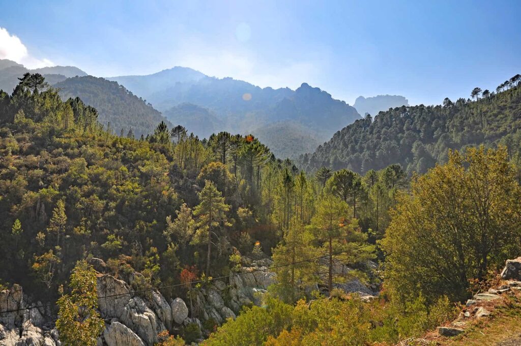 Défilé de l’Inzecca offers spectacular mountain scenery where wilderness thrives in all its splendour.