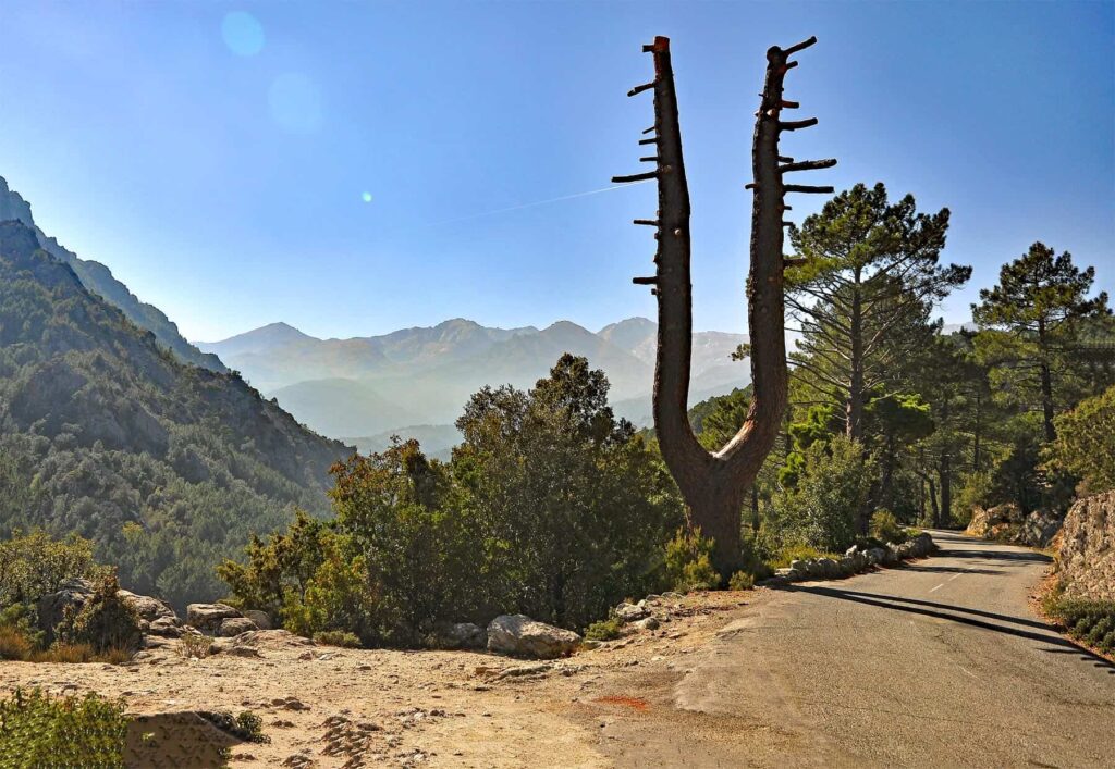Défilé des Strette opens up to picturesque panoramas of snow-covered peaks.