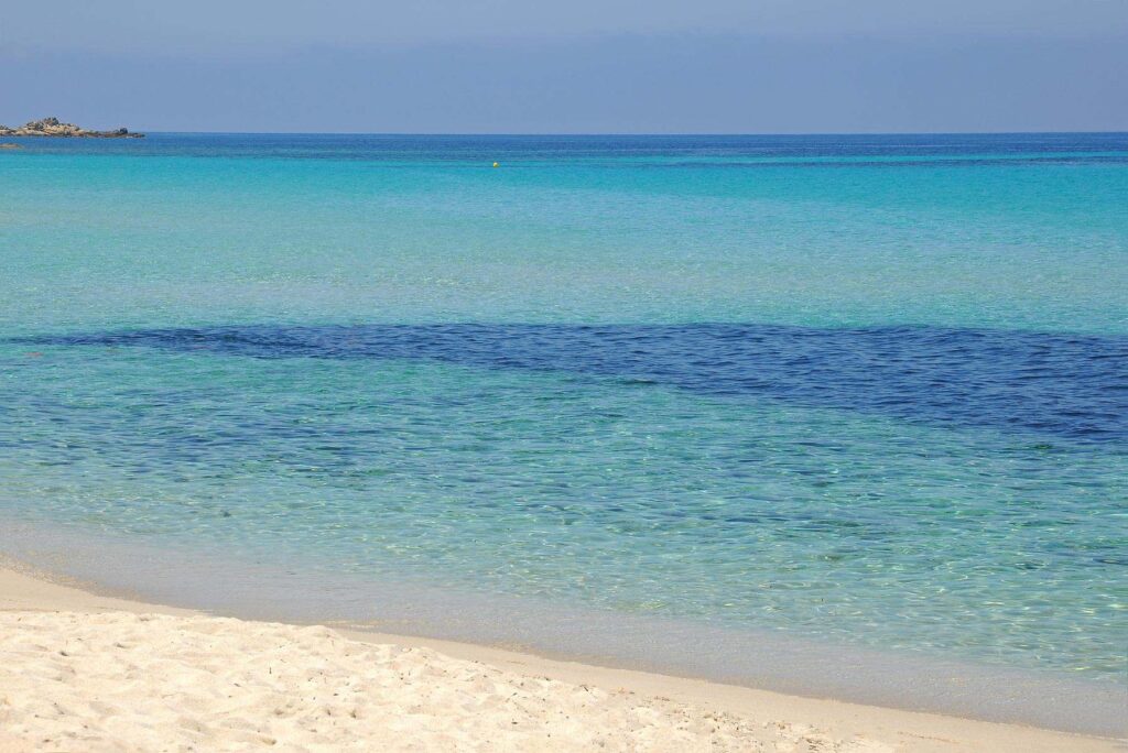 Swim, snorkel, and relax on Ghjunchitu's fine white sand surrounded by pristine natural beauty.