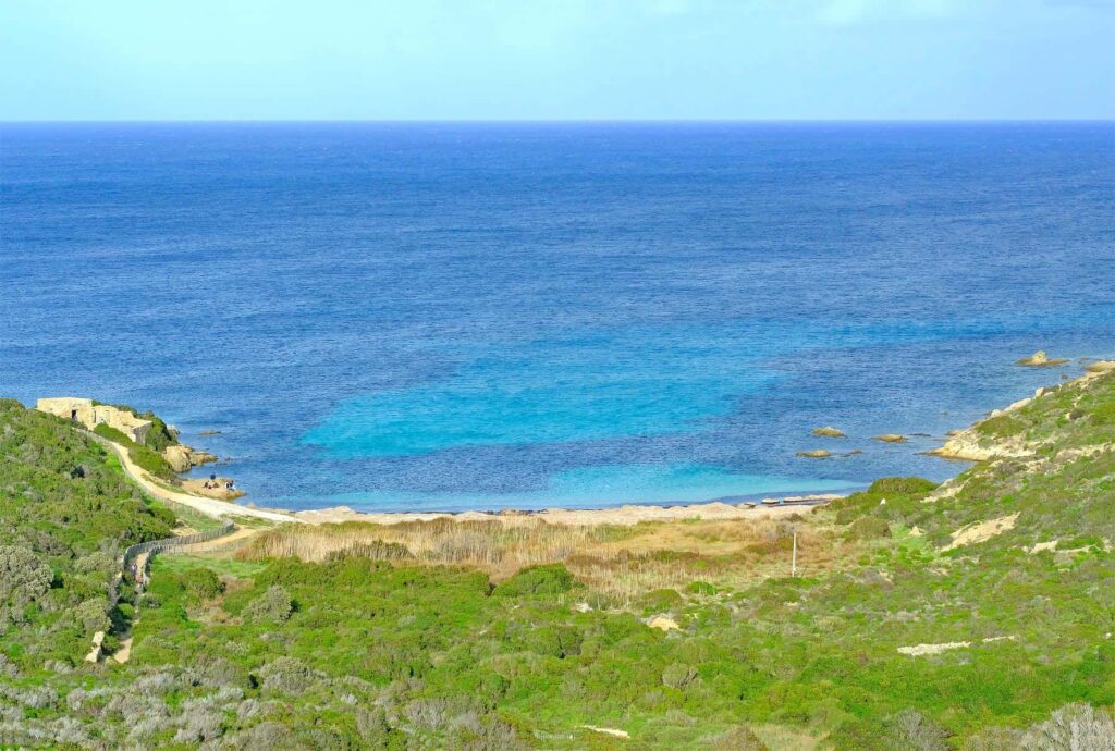 Alga Beach is accessible via a short hike through the untamed Golfe de Revellata landscapes.