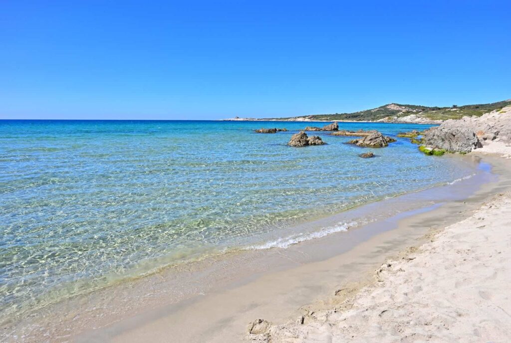 The turquoise shores of Plage de Sainte Restitude can be reached in 10 minutes from Calvi.