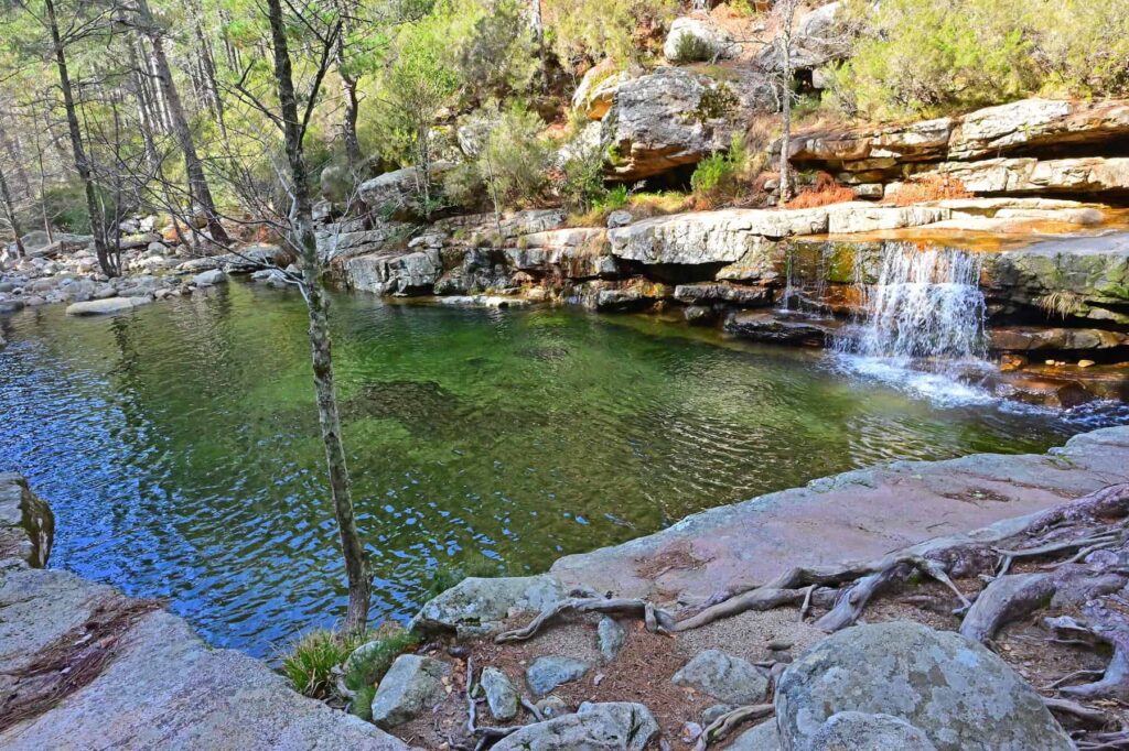 Aitone Forest surrounding Evisa is renowned for its beautiful natural pools and waterfalls, offering visitors refreshing spots to swim.