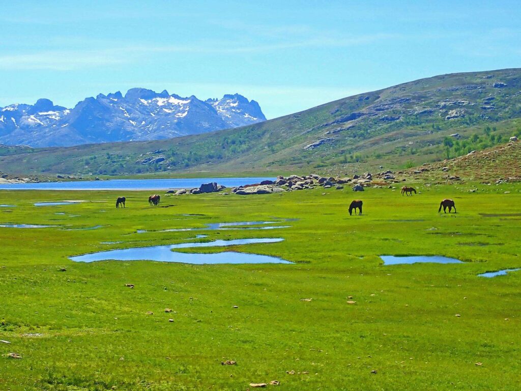 Lake Nino’s peaceful setting invites hikers to rest and soak in the beauty of Corsica’s remote mountainous heartland.
