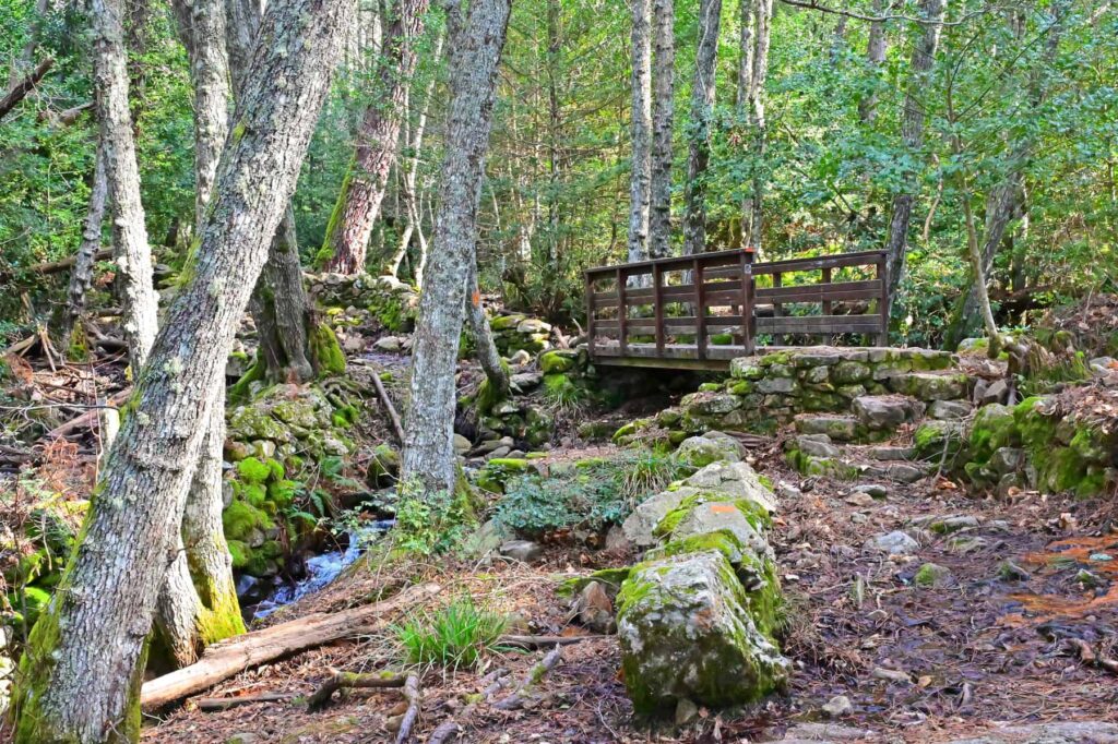 The journey through the Aitone forest is as magical as the destination.