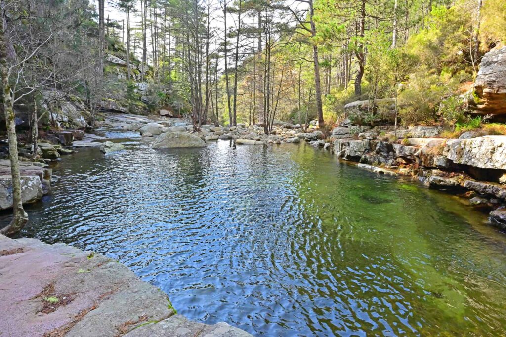 Inviting and crystalline, the water in the mountain stream is actually very cold.