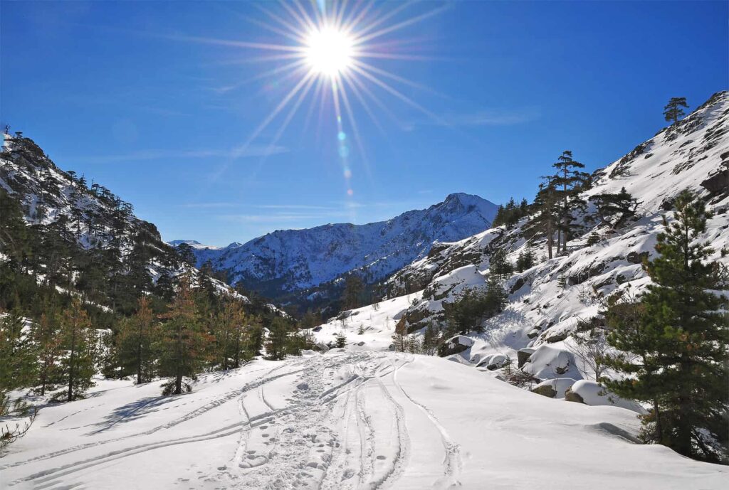 Winter in Corsica offers fewer crowds and undisturbed nature, but many tourist services close or scale back hours.