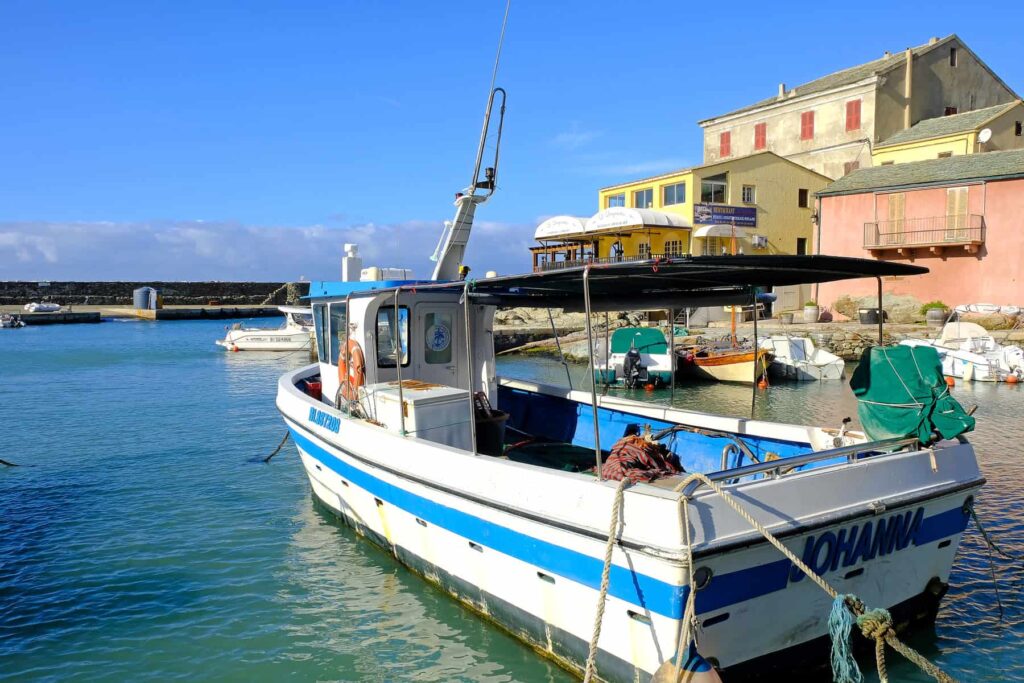 Corsican cuisine combines fresh seafood from the coast with robust mountain meats, chestnuts, and cheeses.