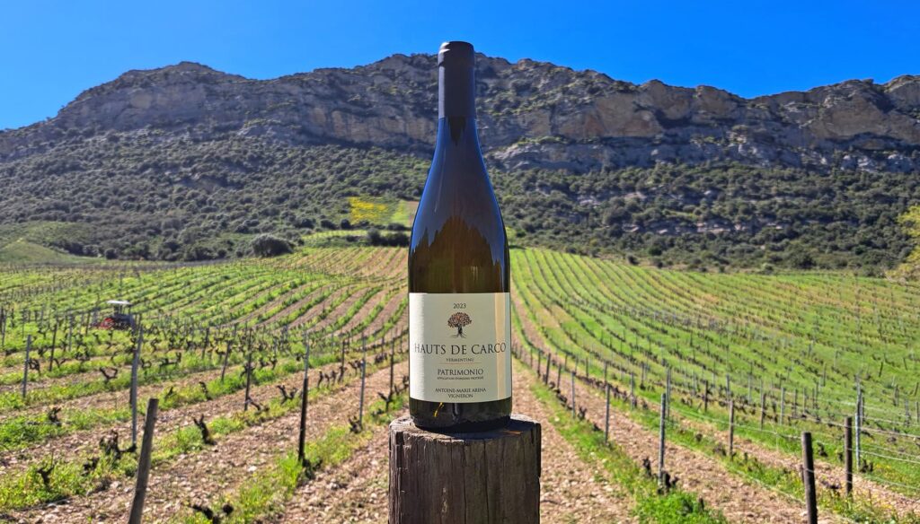A steep limestone slope overlooking the Patrimonio vineyards yields Hauts de Carco, one of Corsica’s best whites.