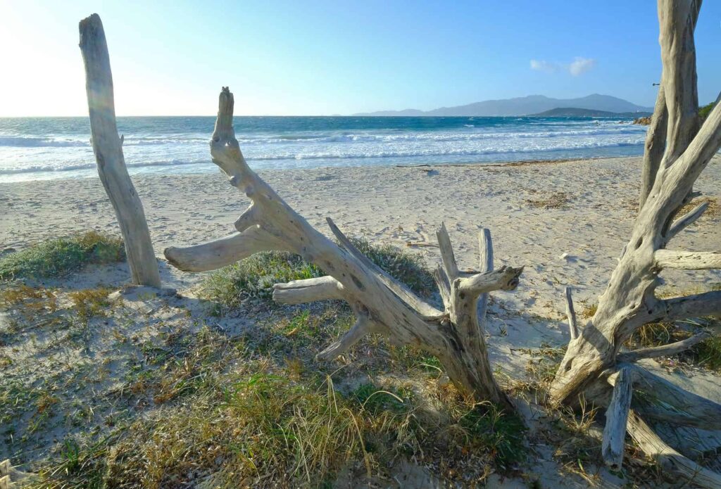 Porticcio, a beach paradise near Ajaccio, boasts golden sands and turquoise waters perfect for family fun and water sports.