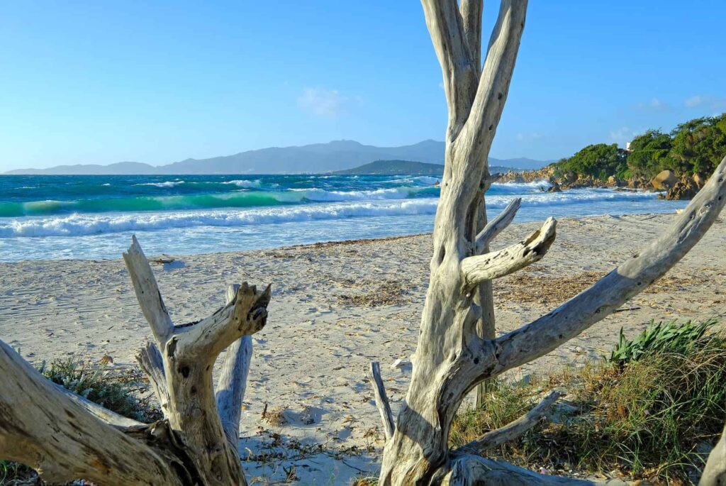 Porticcio's hotels are a great match for beach lovers, families and outdoor enthusiasts. 