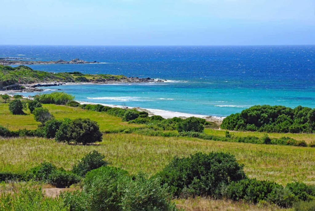A short walk past Bodri leads to Plage de Ghjunchitu’s exquisite maquis-backed shore.
