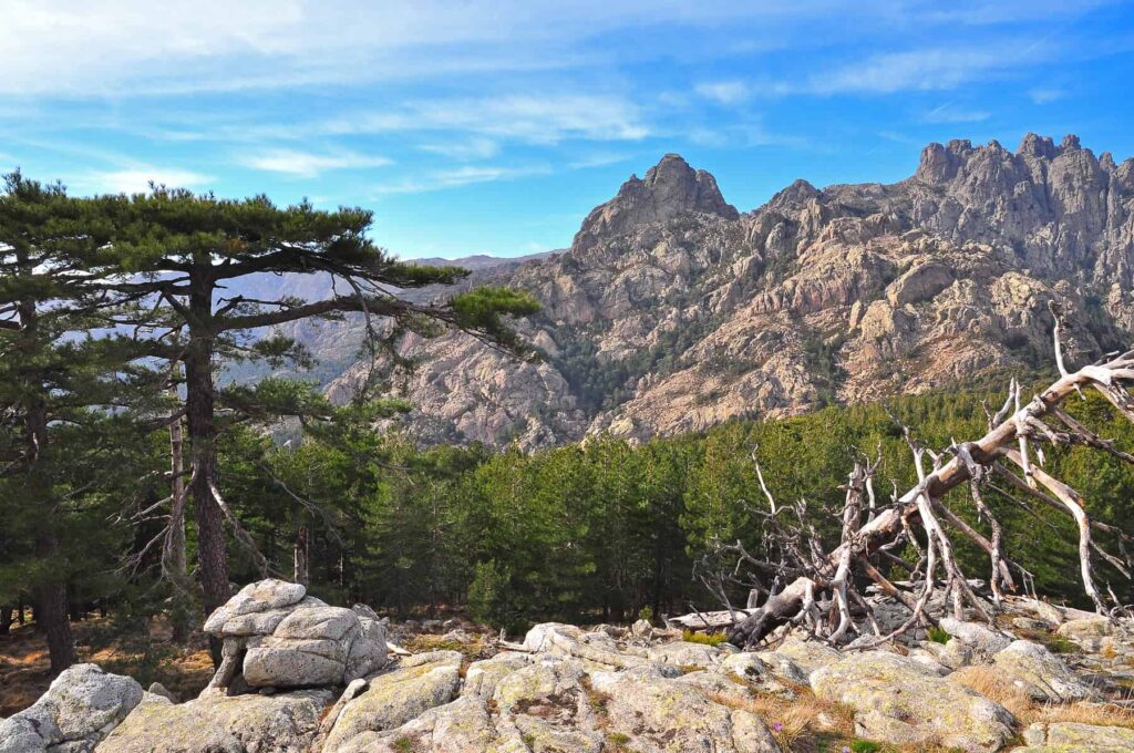 Embark on a mountain drive to the Bavella Needles and savour unforgettable panoramas.