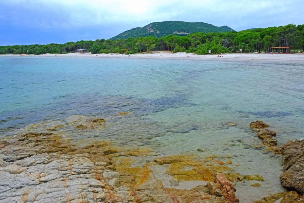Pinarello’s coastline is framed by pine groves, where shaded paths encourage leisurely strolls.