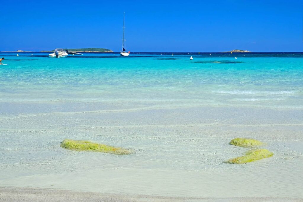 The Porto Vecchio region has the best beaches on the island, with Palombaggia and Rondinara famous worldwide.