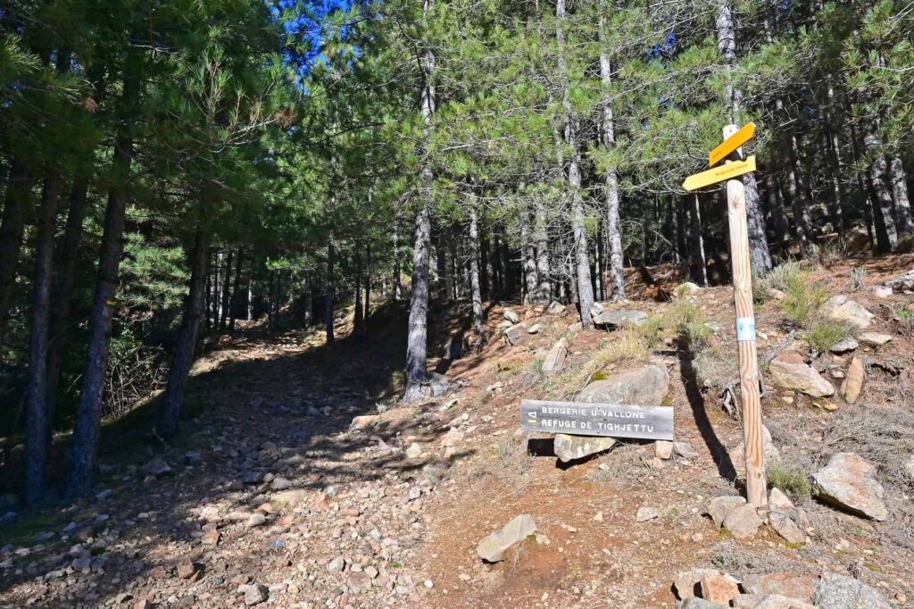 After 2 km, abandon the track for a yellow-marked path heading north into the forest.