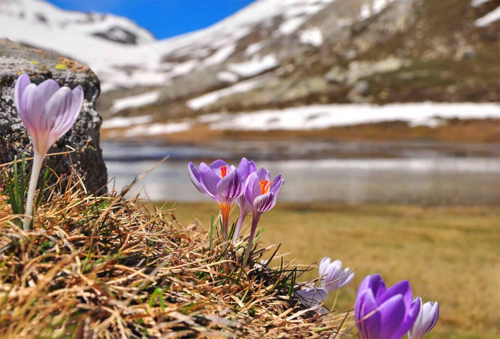 Higher altitudes offer immediate relief from coastal summer temperatures.