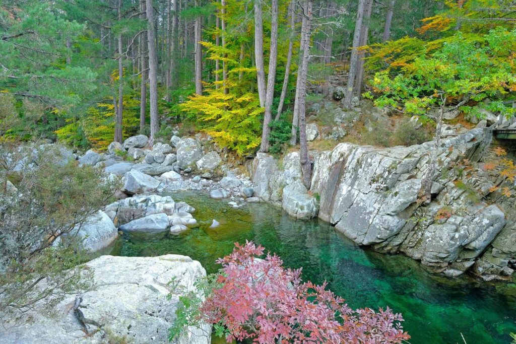 Higher-altitude forested areas, like Manganello Valley, are the best refuge from midday heat.