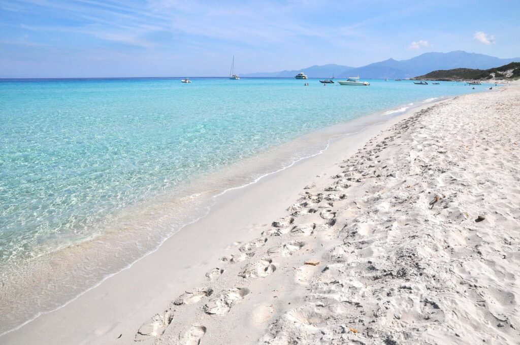 Saleccia, as well as Lotu, are among Corsica's most beautiful wild beaches.