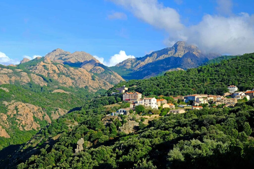 Each season reveals a different side of the Gulf of Porto, from spring blooms to lively summer days.